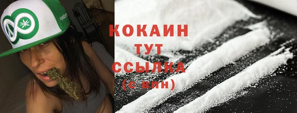 apvp Краснослободск