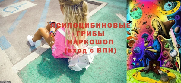 apvp Краснослободск