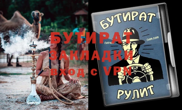 крисы Корсаков