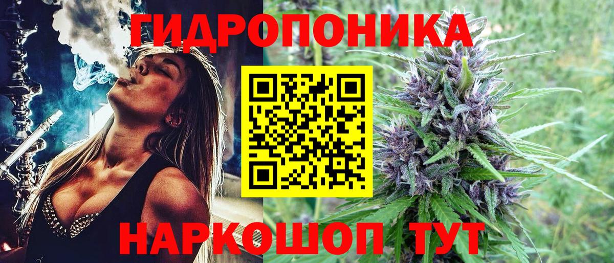 Бошки Шишки индика Партизанск